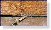 Woodworm repair treatments Northern Ireland